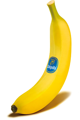 Chiquita Banan